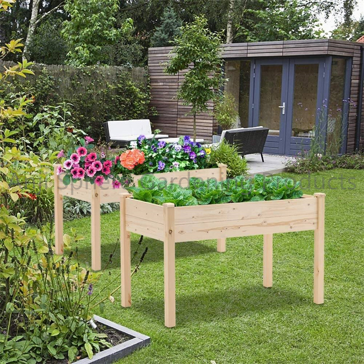 plant raised bed04.jpg