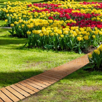 Garden Wooden Pathway Decoration